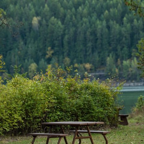 Empty bench beside a lake in the forest park